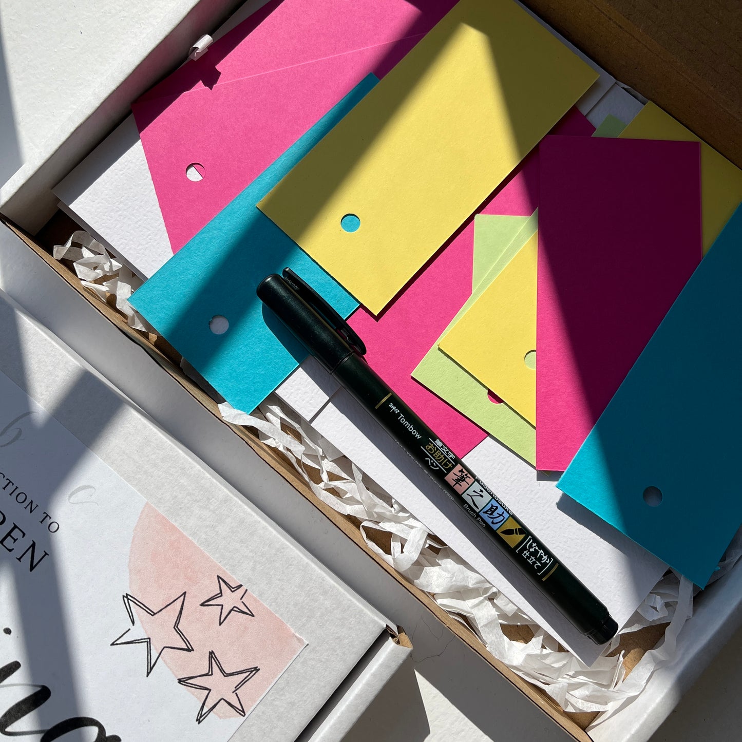 Brush pen calligraphy / lettering kit for kids with 45 minute guided video and tools included.